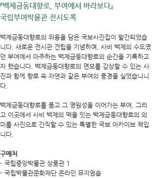 이달의도서_백제금동대향로, 부여에서 바라보다