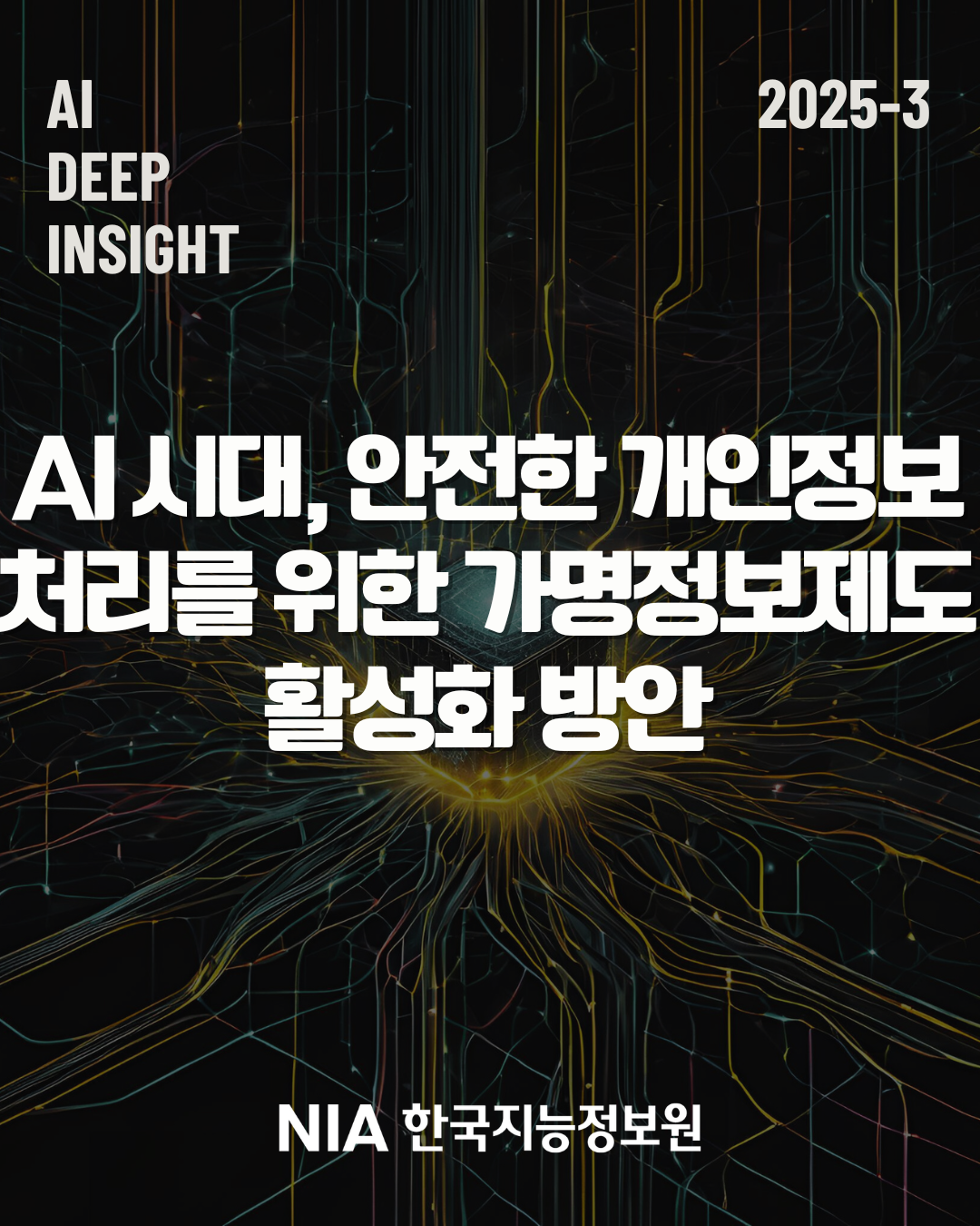 [AI DEEP INSIGHT 2025-3] AI 시대, 안전한 개인정보 처리를 위한 가명정보제도 활성화 방안 썸네일