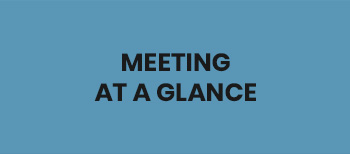 MEETING AT A GLANCE